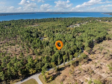 Lot 5 Pintail Dr, Flint, TX 75762 - photo 2