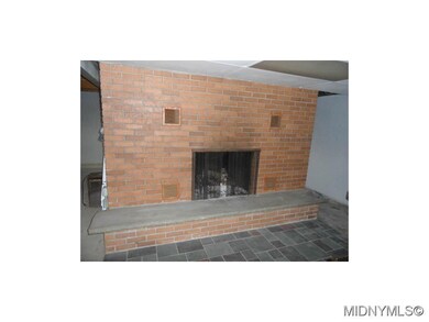 Wood burning fireplace bsmt