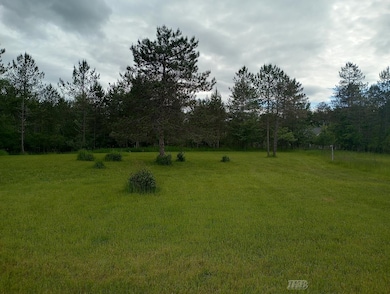 5403 Knights Way unit Lot 34 Knights Way, Butman Township, MI 48624 - photo 7