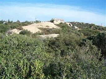 LARGE BOULDER ON WEST BOUNDRY