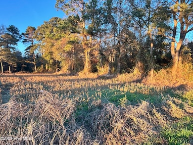 2 Bradshaw St, Clinton, NC 28328 - photo 2