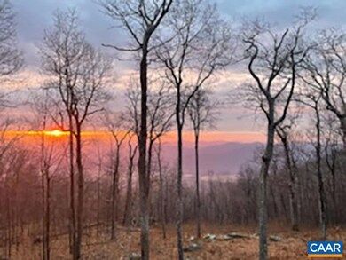 362 Pedlars Edge Dr, Wintergreen Resort, VA 22967 - photo 5