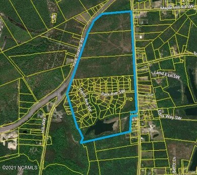 all parcels blueberry outlined