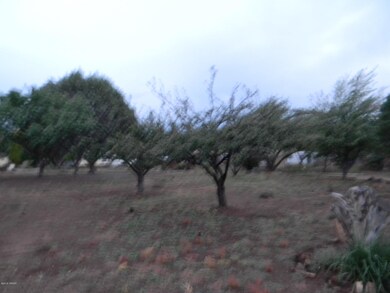 DSCN2980
