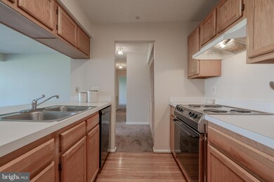 2703 Snowbird Terrace unit 8, Silver Spring, MD 20906 - photo 6