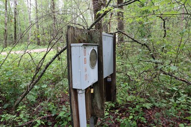 IMG_0881