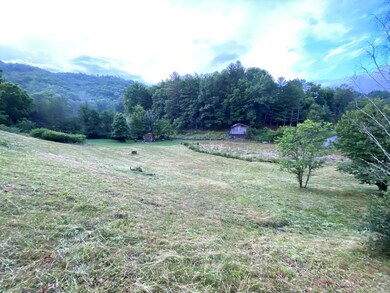 Lower Field