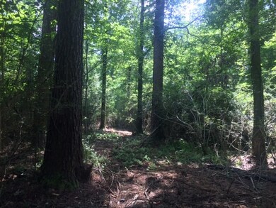 ... Wardlaw Rd, McComb, MS 39648 - photo 2