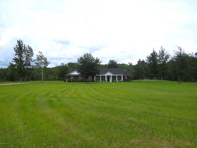 55051 Countree Life Way, Callahan, FL 32011 - photo 4