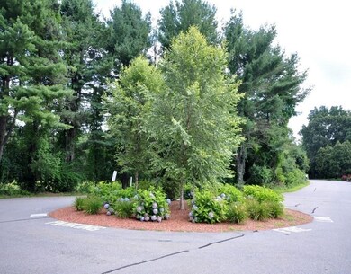 8 Leonard Rd unit 8, Boxborough, MA 01719 - photo 6