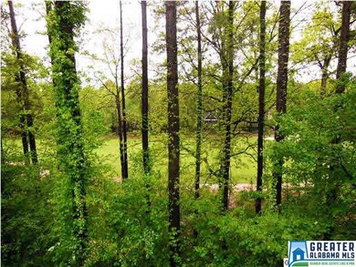 Enjoy your view of the 9th hole of the golf course