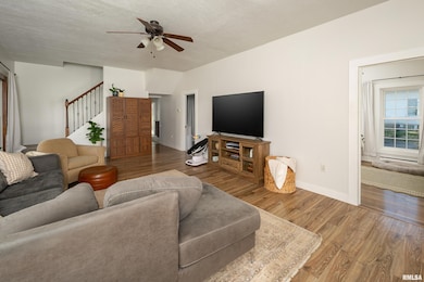 401 3rd St, Matherville, IL 61263 - photo 5