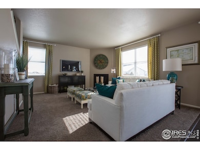 6722 Grainery Rd, Timnath, CO 80547 - photo 7