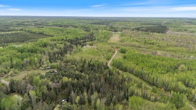 TBD Billy Creek Rd E, Big Falls, MN 56627 - photo 5