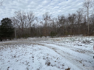 498 Beck Meadow Rd, Union, MO 63084 - photo 5