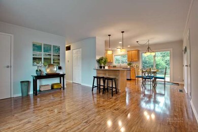 924 Princeton Ave, Matteson, IL 60443 - photo 6