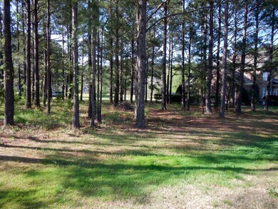 View from Golf Course