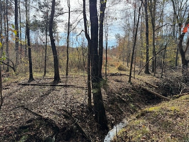 Middelton Rd, Elberton, GA 30635 - photo 4