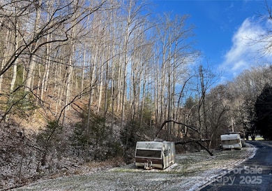 1927 Ammons Branch Rd, Marshall, NC 28753 - photo 3