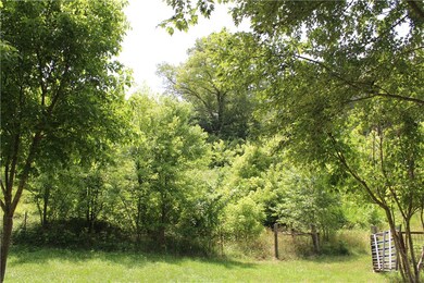 Property continues past fenceline and up hill