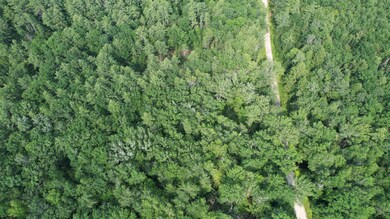 DJI_0244