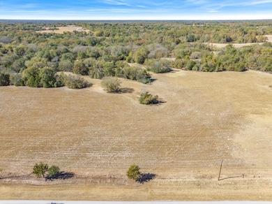 Lot #3 Tbd State Highway 19 Hwy, Emory, TX 75440 - photo 4