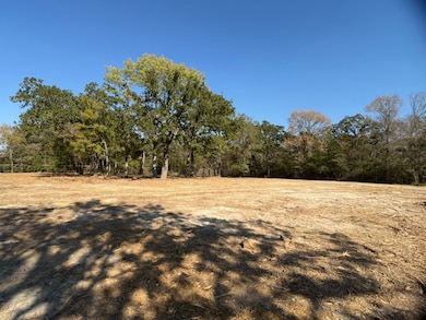 12047 County Road 414, Somerville, TX 77879 - photo 3