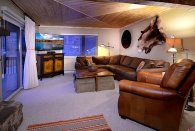35 Emmons Rd unit 3, Crested Butte, CO 81225 - photo 5