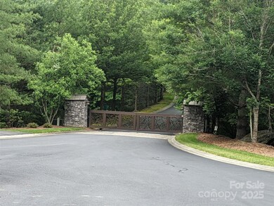 99999 Mills River Way unit Lot 107, Mills River, NC 28742 - photo 7