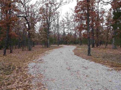 8002 Hand Cove Rd, Elizabeth, AR 72531 - photo 3