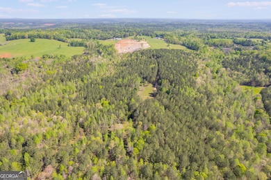 0 Lipham Rd unit 10505011, Franklin, GA 30217 - photo 3