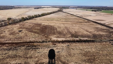 681 Main St, Knobel, AR 72435 - photo 3