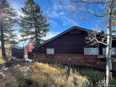 160 S Circle Dr, Bailey, CO 80421 - photo 3