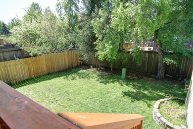Fenced Back Yard