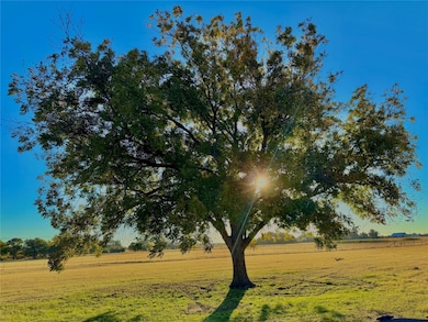 14114 Howard Lake Ct, Lipan, TX 76462 - photo 3