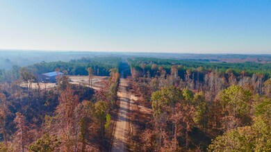 6 County Road 4251, New Site, MS 38859 - photo 4