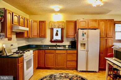 81 Ridge Runner Rd, Wardensville, WV 26851 - photo 3