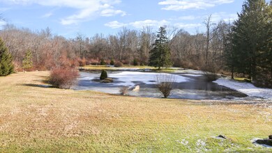 141 Bedford Rd, Greenwich, CT 06831 - photo 3