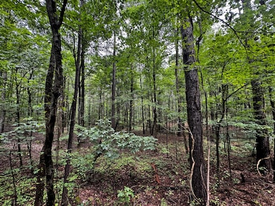 3550 Morgans Run Pkwy, Bessemer, AL 35022 - photo 2