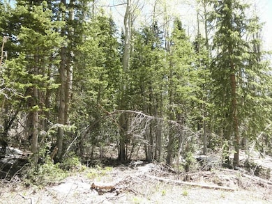 1917 S 1850 E unit Rainbows Meadows A 1, Brian Head, UT 84719 - photo 5