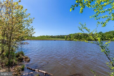 9012 Daum Ct, Springfield, VA 22153 - photo 7