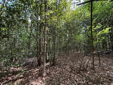 00 Montgomery Rd, Summit, MS 39666 - photo 4