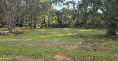 430 N 4th St, Brookhaven, MS 39601 - photo 4