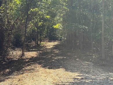 0 Bethuel Rd unit 1, Unincorporated, TN 38053 - photo 3