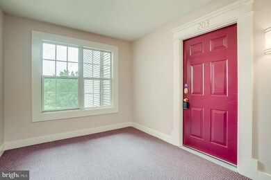 8901 Stone Creek Place unit 203, Pikesville, MD 21208 - photo 3