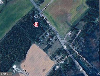 33293 Matthewstown Rd, Easton, MD 21601 - photo 3