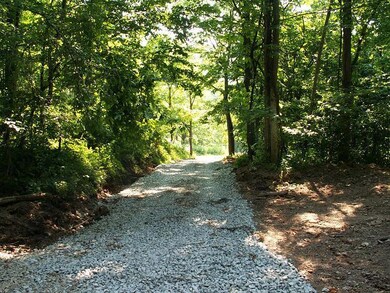 Access road 2