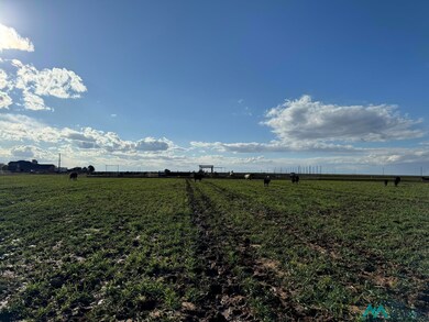 West Side of Wilclark Rd, Clovis, NM 88101 - photo 2