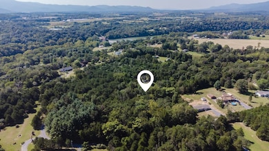 TBD Riverview Dr, Luray, VA 22835 - photo 3