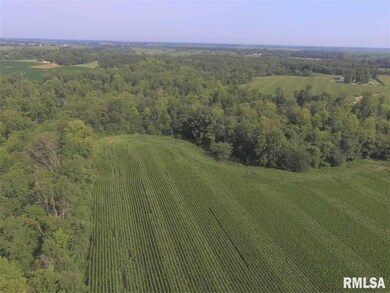 2282 Lone Rd, Ashland, IL 62612 - photo 6